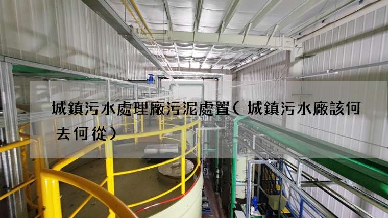 城鎮污水處理廠污泥處置(城鎮污水廠該何去何從)